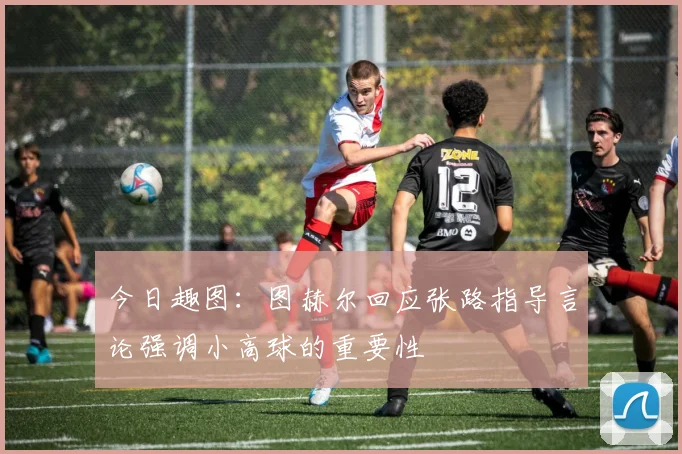 今日趣图：图赫尔回应张路指导言论强调小高球的重要性