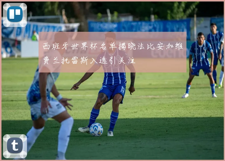 西班牙世界杯名单揭晓法比安加维费兰托雷斯入选引关注